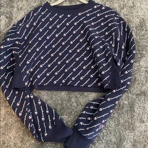 Cropped champion hoodie